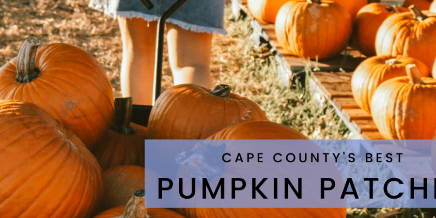 Cape County's Best Pumpkin Patches